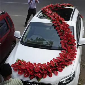 Exclusive Red Beauty